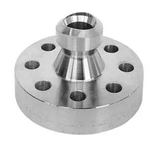 Weldolet Flange